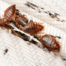 Aim Pest Solutions - Pest Control Equipment & Supplies