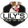 Lily's Play-N-Stay gallery