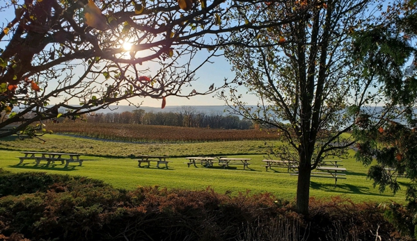 Lamoreaux Landing Wine Cellars - Lodi, NY