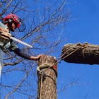 North Atlanta Tree and Garden