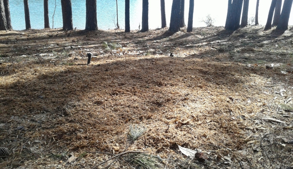 Town And Country Stump Removal - Walhalla, SC