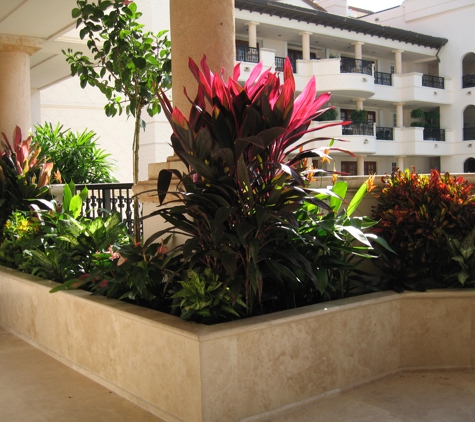 Foliage Design Systems Of Dade Inc - Miami, FL