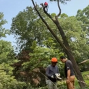 ABB Tree Services - Logging Companies