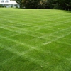 Tom's Lawn Care gallery