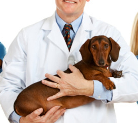 Parkway Animal Hospital - Gulf Breeze, FL