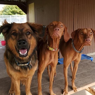 Four Paws Salon & Retreat - Clinton, IL