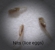 The Louse Girl Head Lice Removal Service - Child Care Consultants