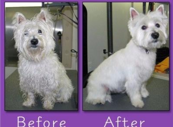 A Mobile Pet Groomer - Spring Hill, FL