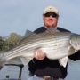 PointRunner's Striper Guide Service Smith Mountain Lake Va