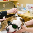 Pet Pals Holistic Veterinary Hospital - Julie Towle DVM - Veterinary Clinics & Hospitals
