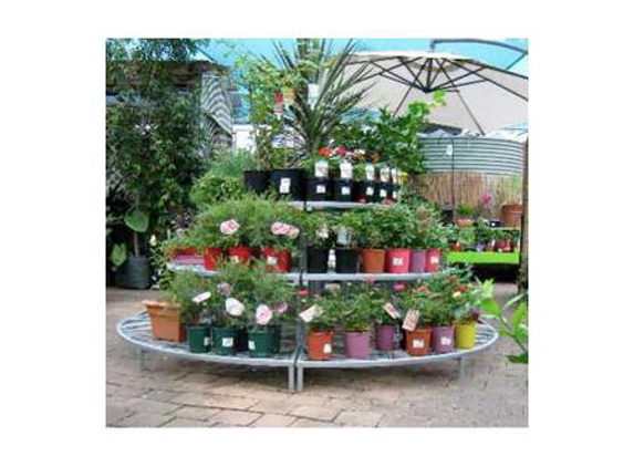 Mitre 10 Beaudesert - Beaudesert, QLD. Gardening Plants
