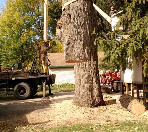 Michaels Tree Service LLC - Fond Du Lac, WI