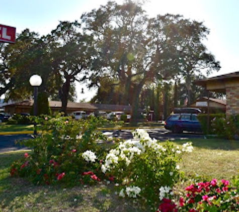 Walnut Forest Motel - Austin, TX