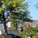 Joseph Willard Health Center - Clinics