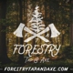 Forestry Tap & Axe