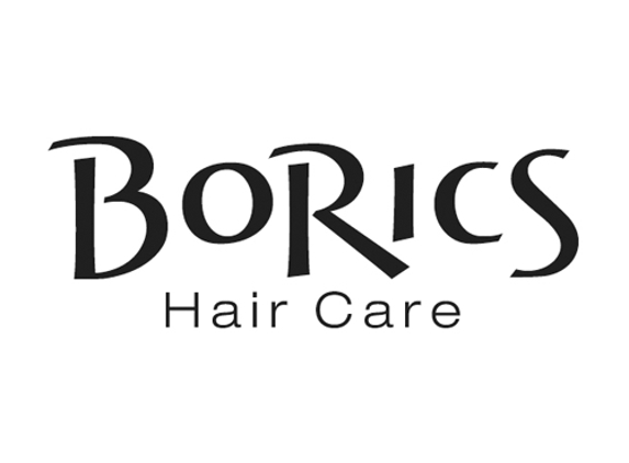 BoRics Hair Care - Grand Rapids, MI