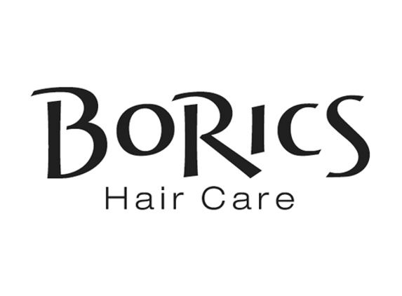 BoRics Hair Care - Commerce Township, MI