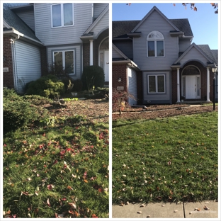 Clean it up! Property Services - Lambertville, MI. shrub removal