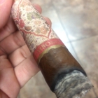 Robusto