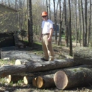 Bear West Tree Works - Stump Removal & Grinding