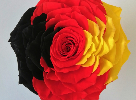 Excellent Flowers Inc. - Doral, FL. Preserved roses flag designs available, contact us www.wholesalepreservedroses.com