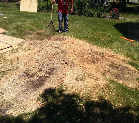 Jessie's Stump Removal & Total Tree Care - Beech Grove, IN