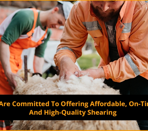 Huey's Run Shearing & Crutching - Brucedale, NSW. We Are Committed To Offering Affordable, On-Time, And High-Quality Shearing