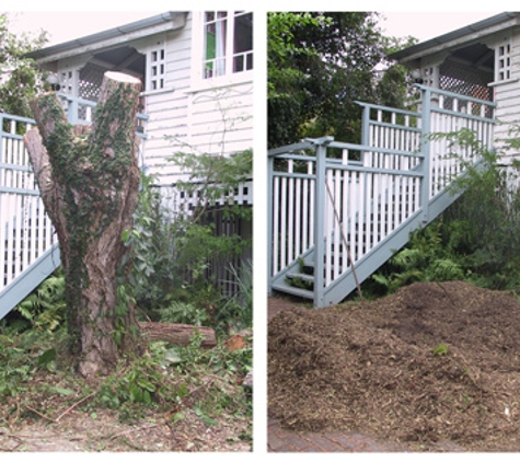 Cooper's Stump Removal & Home Services - Belfair, WA