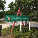 She Sells Sea Shells - Shells-Marine