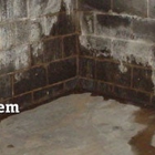 Basement Systems Inc