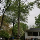 Martinez Tree Service LLC - Tree Service