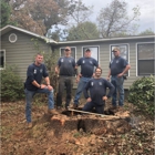 John Waldrop & Son Tree Service