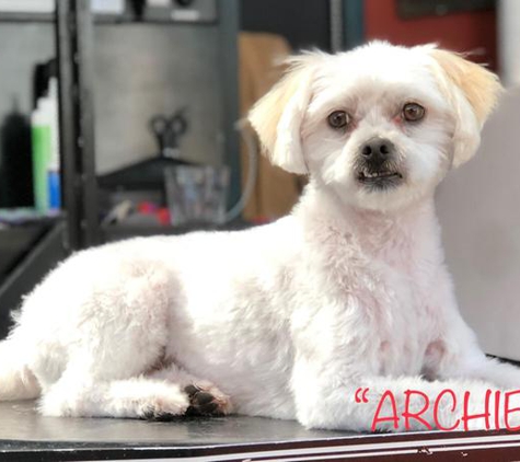 Superb Dog Grooming - Wheelers Hill, VIC