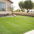 All Valley Landscaping