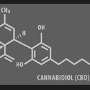 Vibestasis Labs - Holistic Practitioners