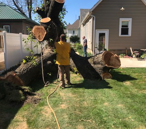 Brother's Tree Service, L.L.C. - Wheatfield, IN