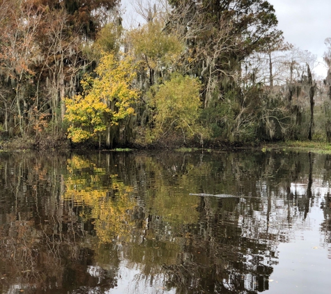 Airboat Adventures - Lafitte, LA