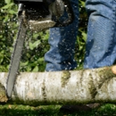 Tree Surgeon & Landscape Services - Tree Service