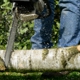 Tree Surgeon & Landscape Services