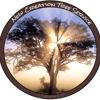 New Creation Tree Service gallery