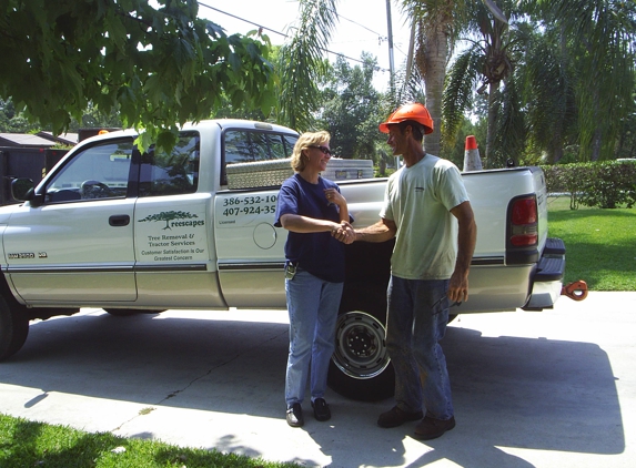 Treescape Tree Removal Service - Deland, FL