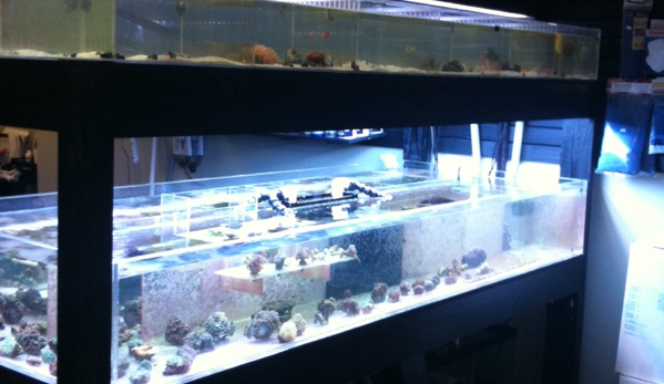 The Aquarium Store - Baton Rouge, LA