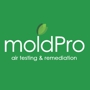 MoldPro
