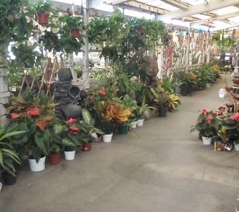 Moneta Nursery Inc. - Gardena, CA