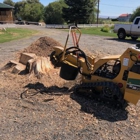 Skyline Stump Grinding