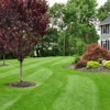 All Seasons Lawn Care gallery