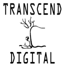 Transcend Marketing Group, LLC - Advertising Agencies