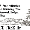 Service Tree LLC gallery