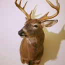 Wilderness Walt's Taxidermy