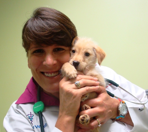 Companion Animal Hospital - Albany, GA